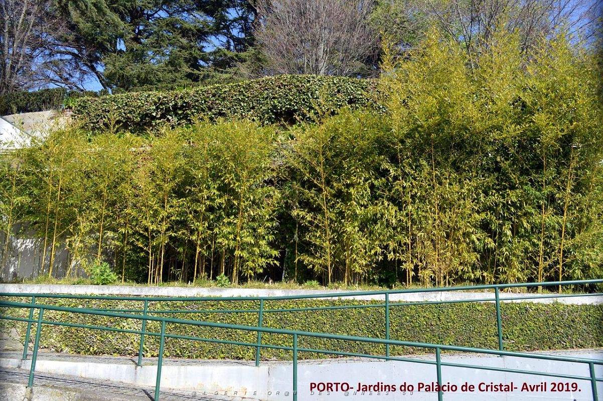 1053- Porto Jardins Palais Cristal.jpg